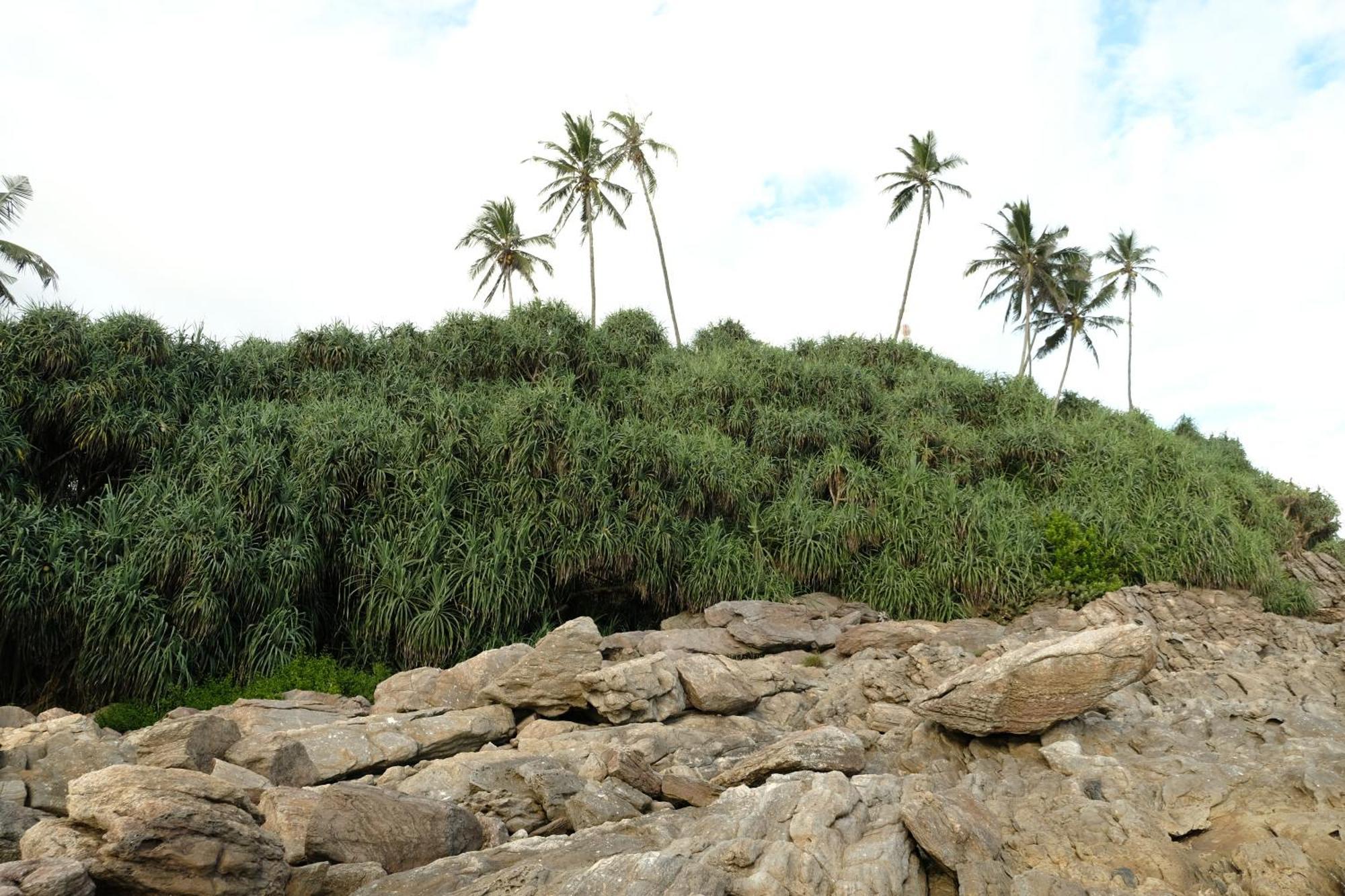 Menaka Homestay タンガラ エクステリア 写真